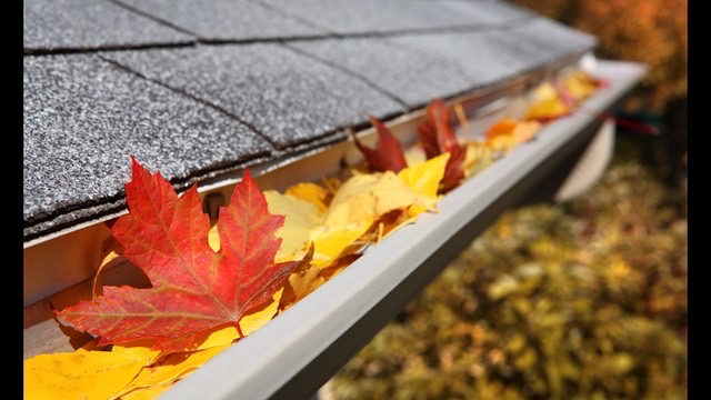 Avatar for Precision Pressure Washing