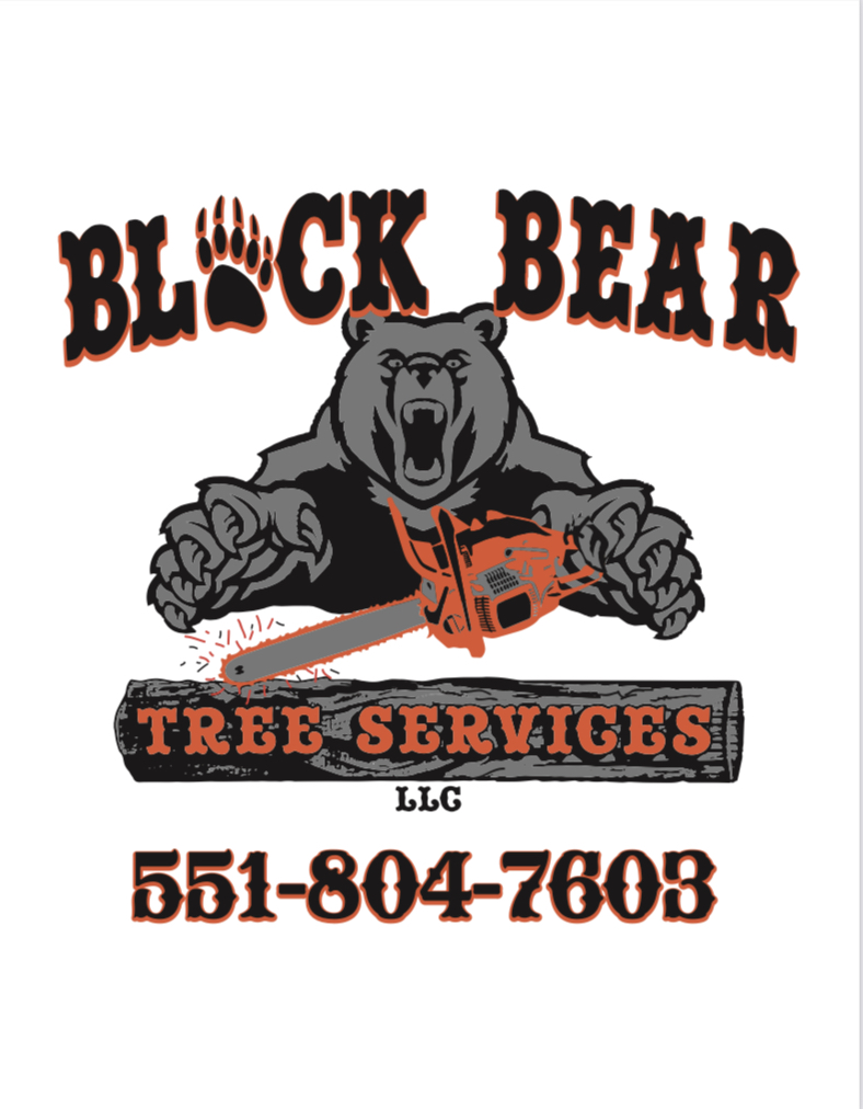 Avatar for Black Bear Tree Services