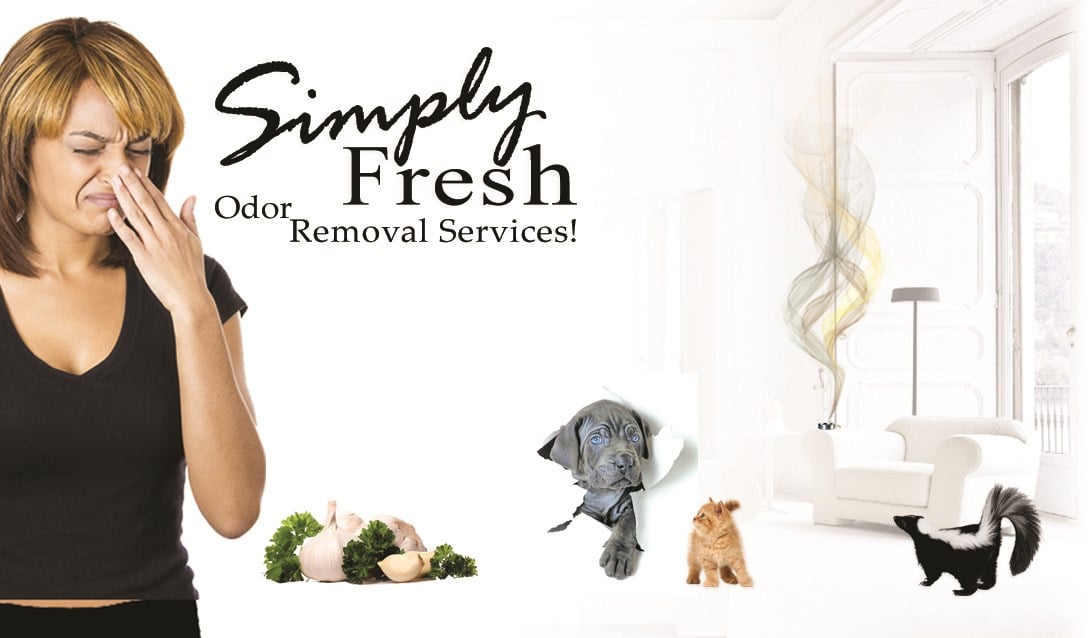 Avatar for Simply Fresh