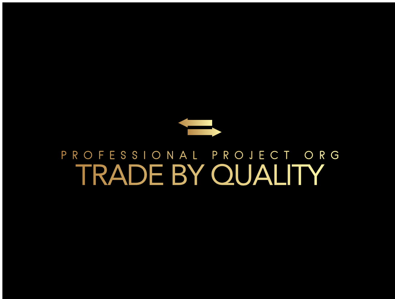 Professional Project Organization logo