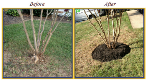 First Step Landscaping & Home Improvement logo