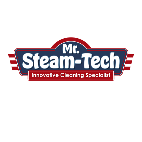 Avatar for Mr. Steam-Tech