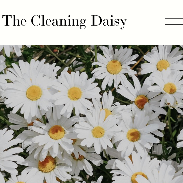 Avatar for The Cleaning Daisy 