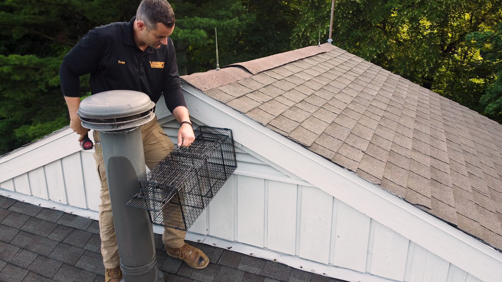 Varment Guard Wildlife Services Reviews Danville, IN Angi