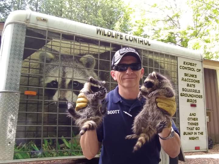 Avatar for GRAND WILDLIFE CONTROL LLC