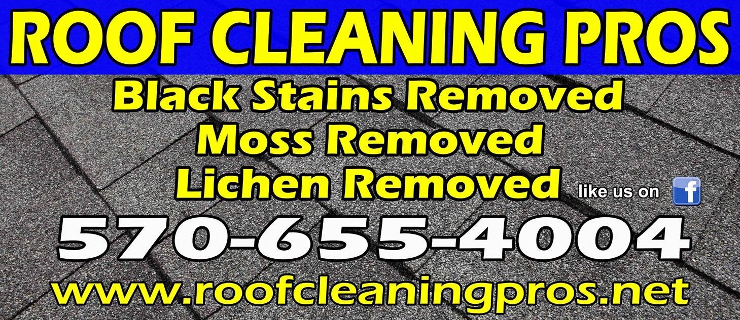 Roof Cleaning Pros logo