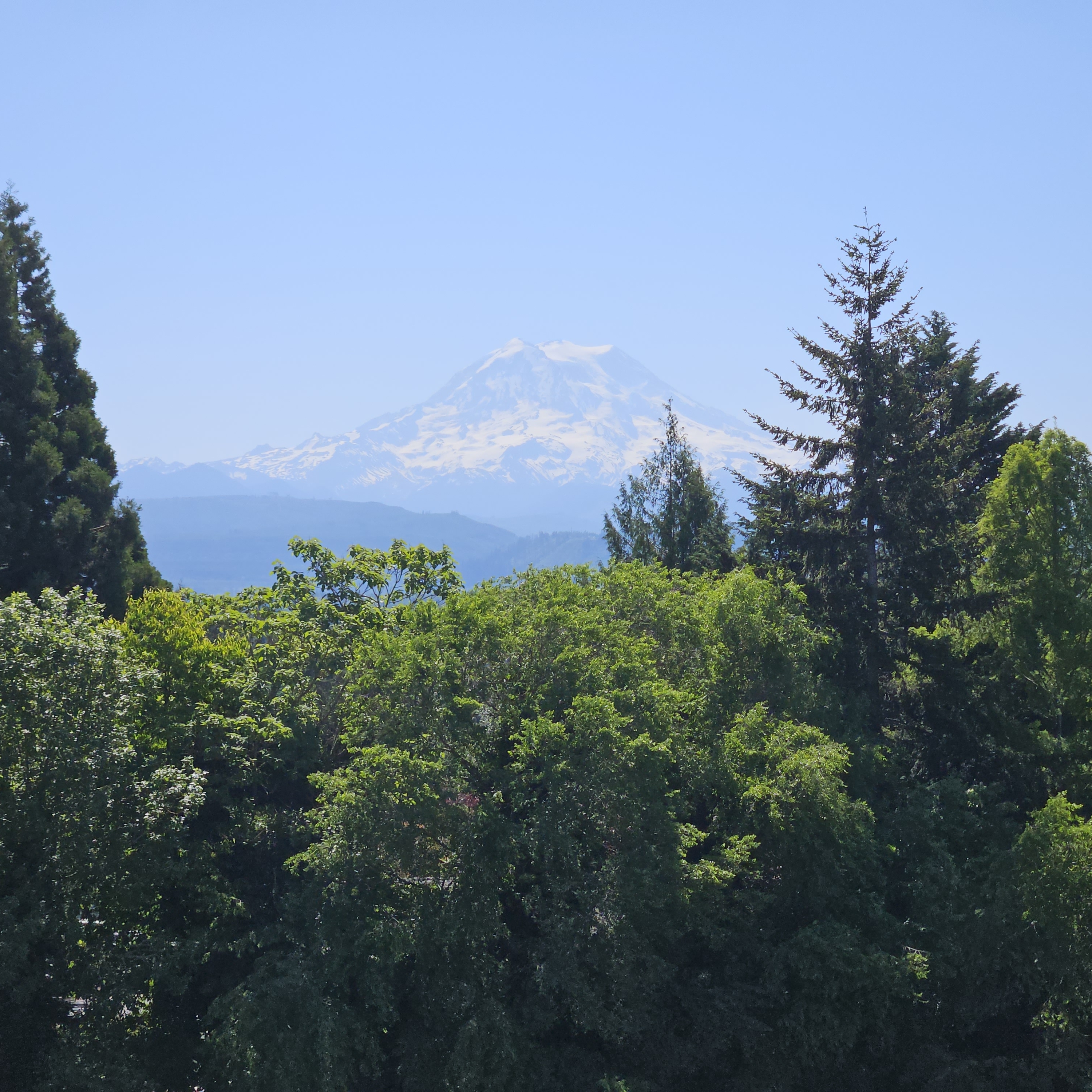 Avatar for Smith's window cleaning