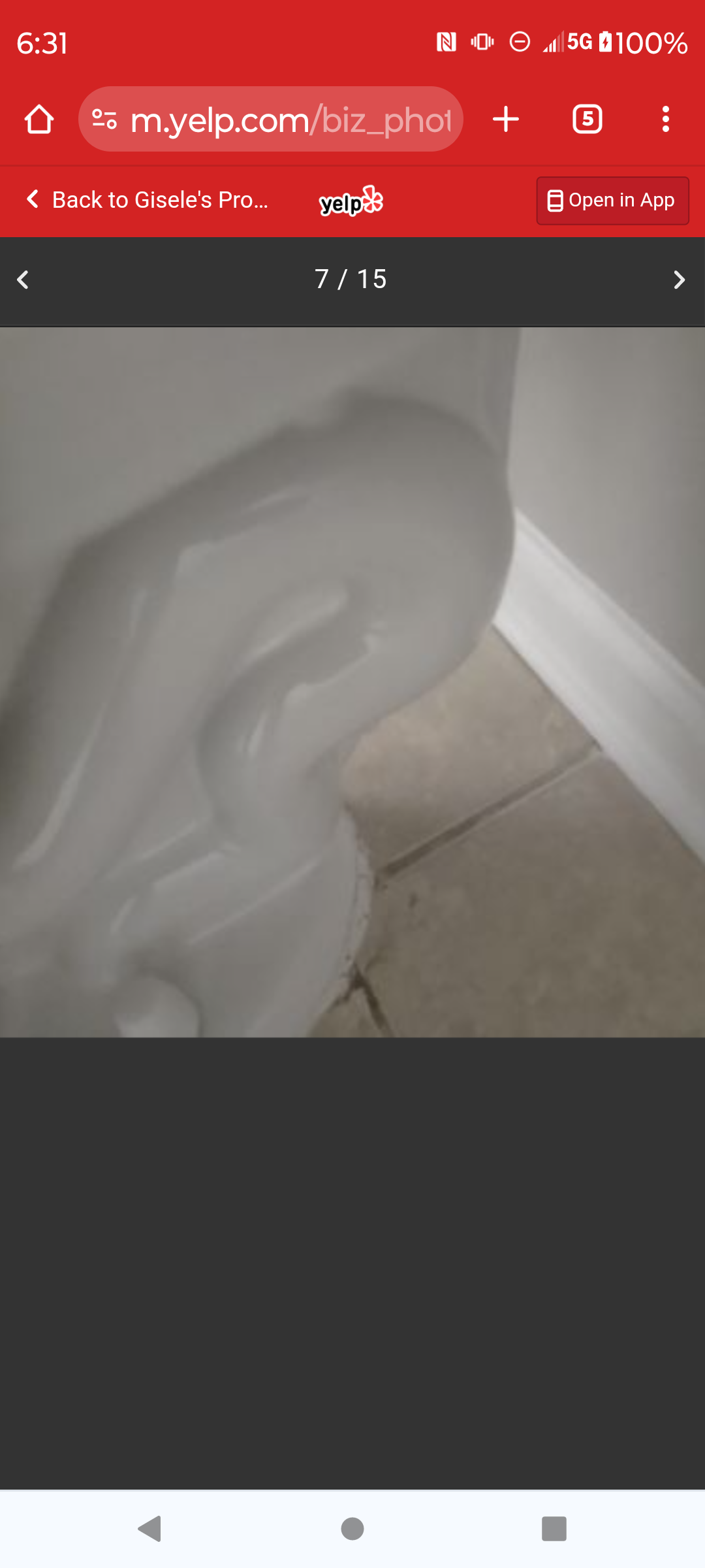 Avatar for GISELE'S PROFESSIONAL CLEANING