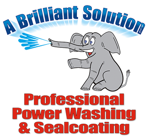 A Brilliant Solution logo
