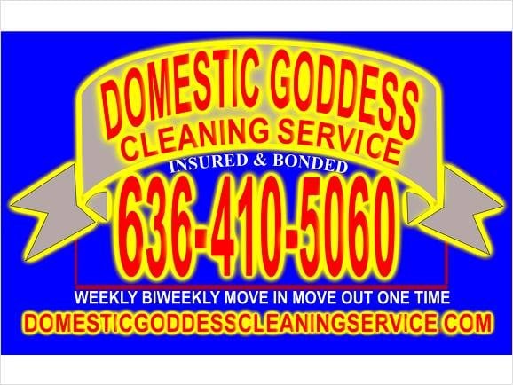 Logo for Domestic Goddess Cleaning Service