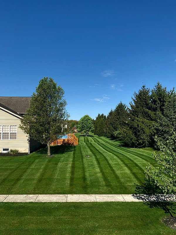 Avatar for Grass Bandit Landscape