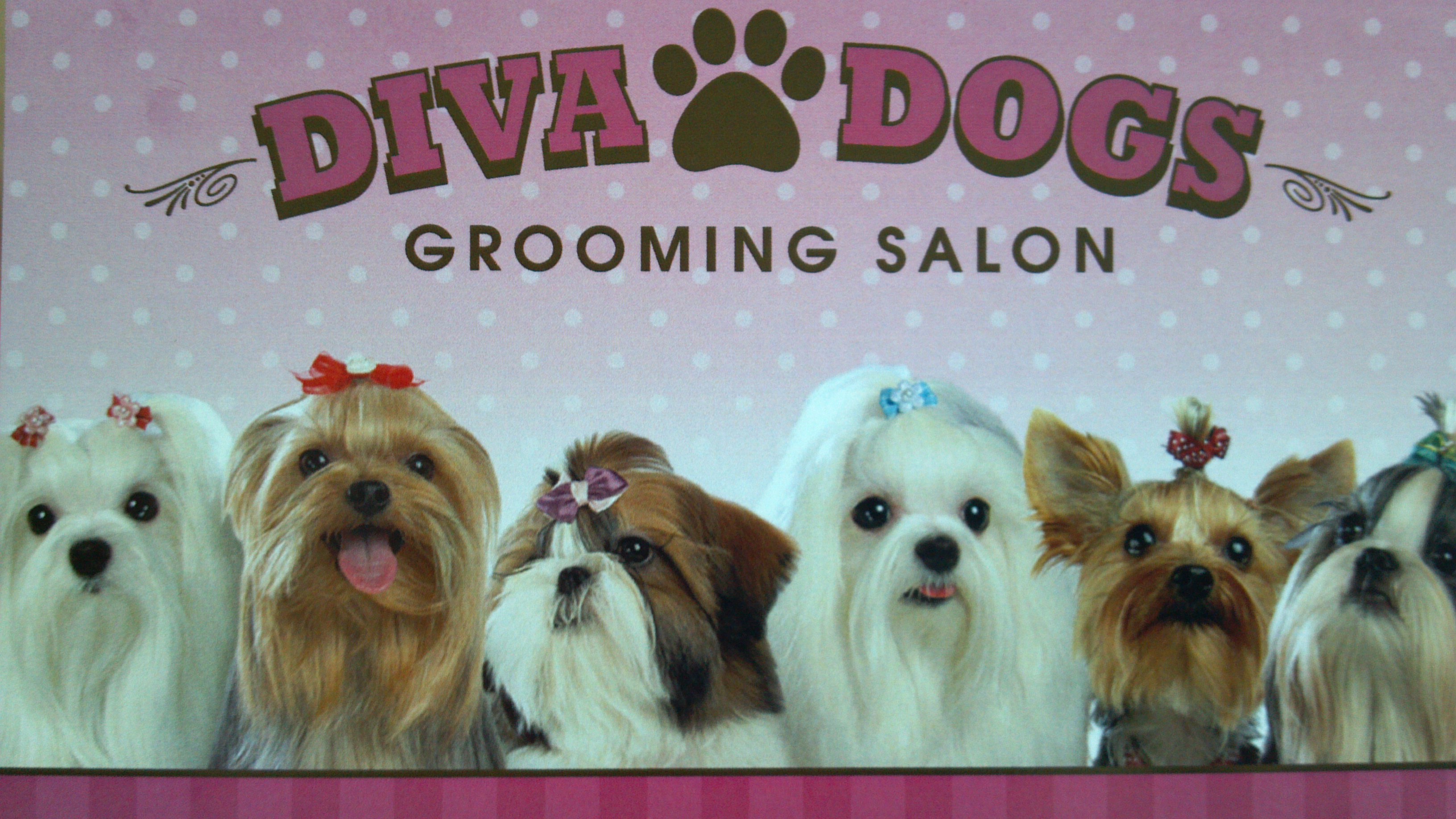 Logo for Diva Dogs. LLC