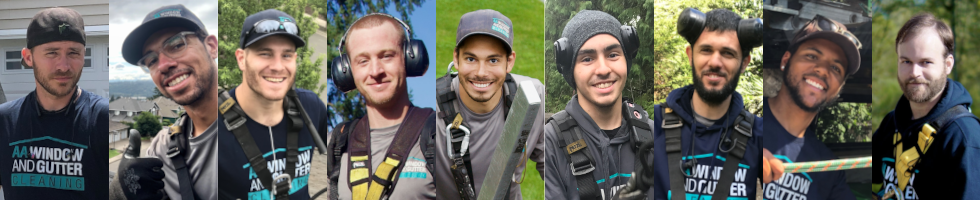 Avatar for AA Window & Gutter Cleaning