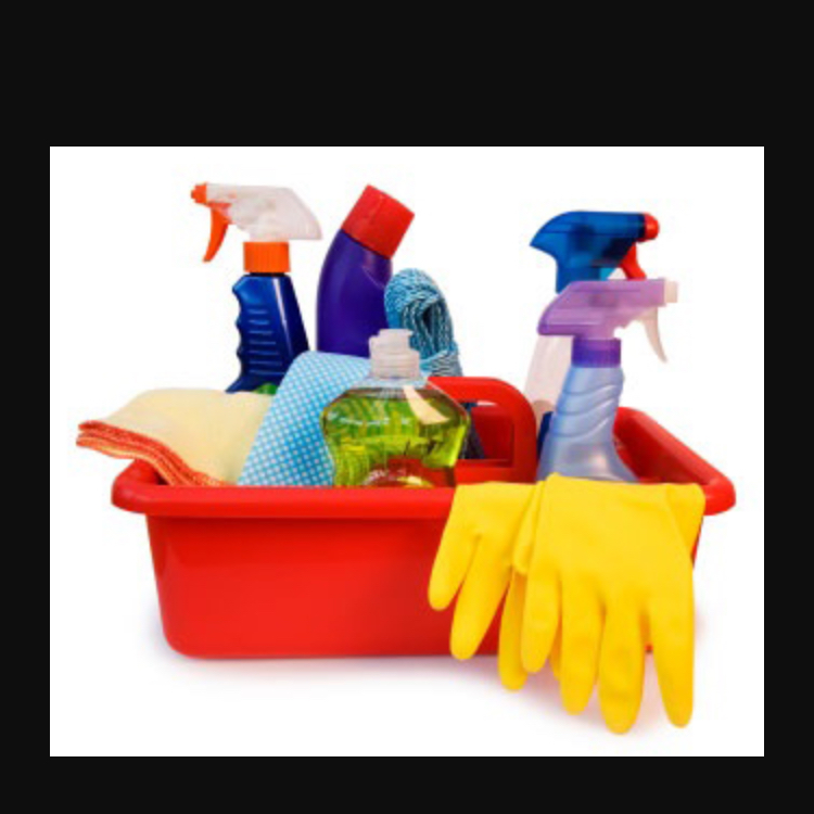 Maid to Shine Cleaning Services logo