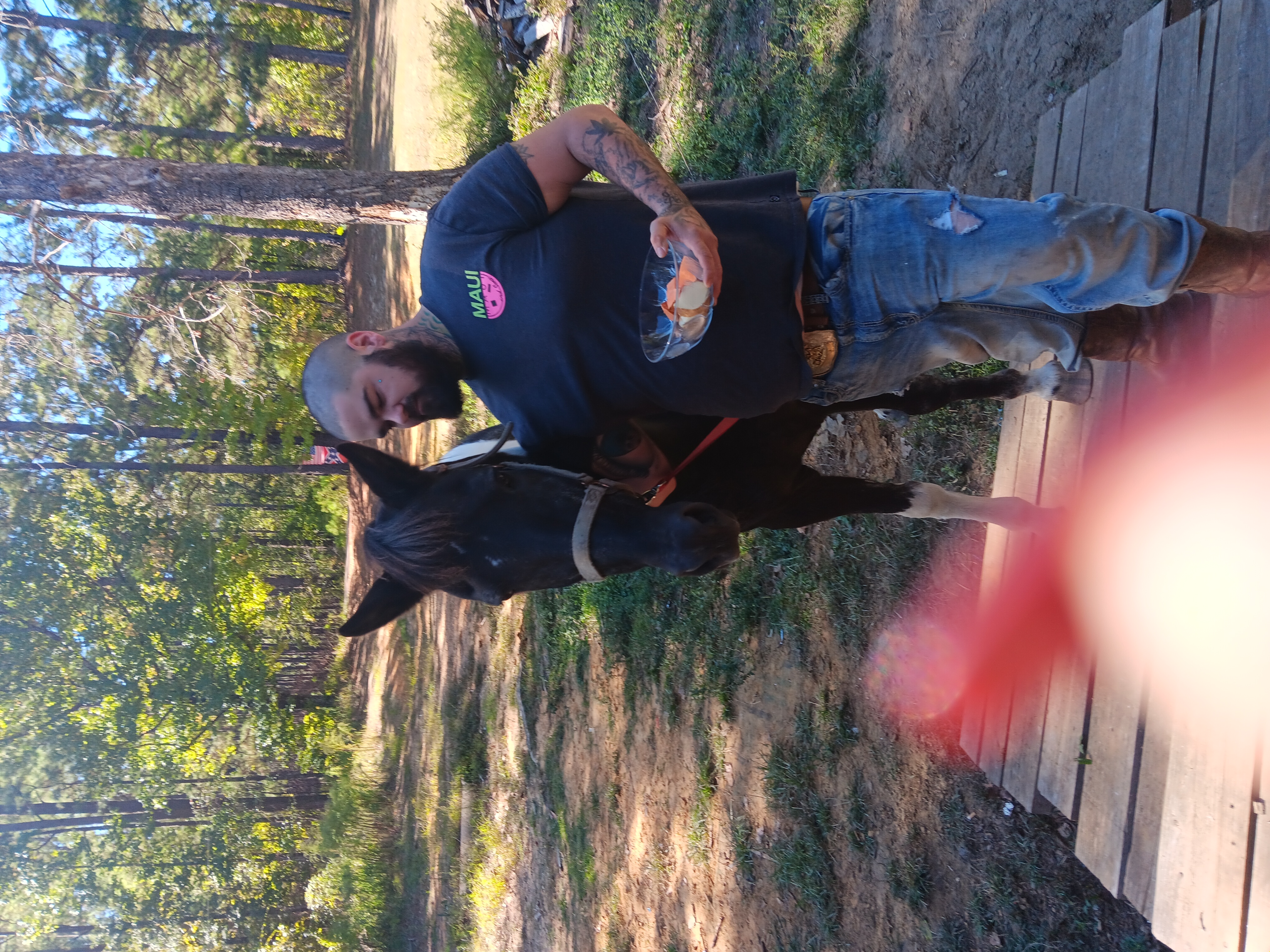 Avatar for A.M. productions