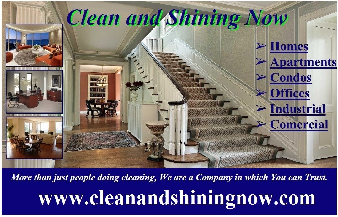 Clean and Shining Now logo