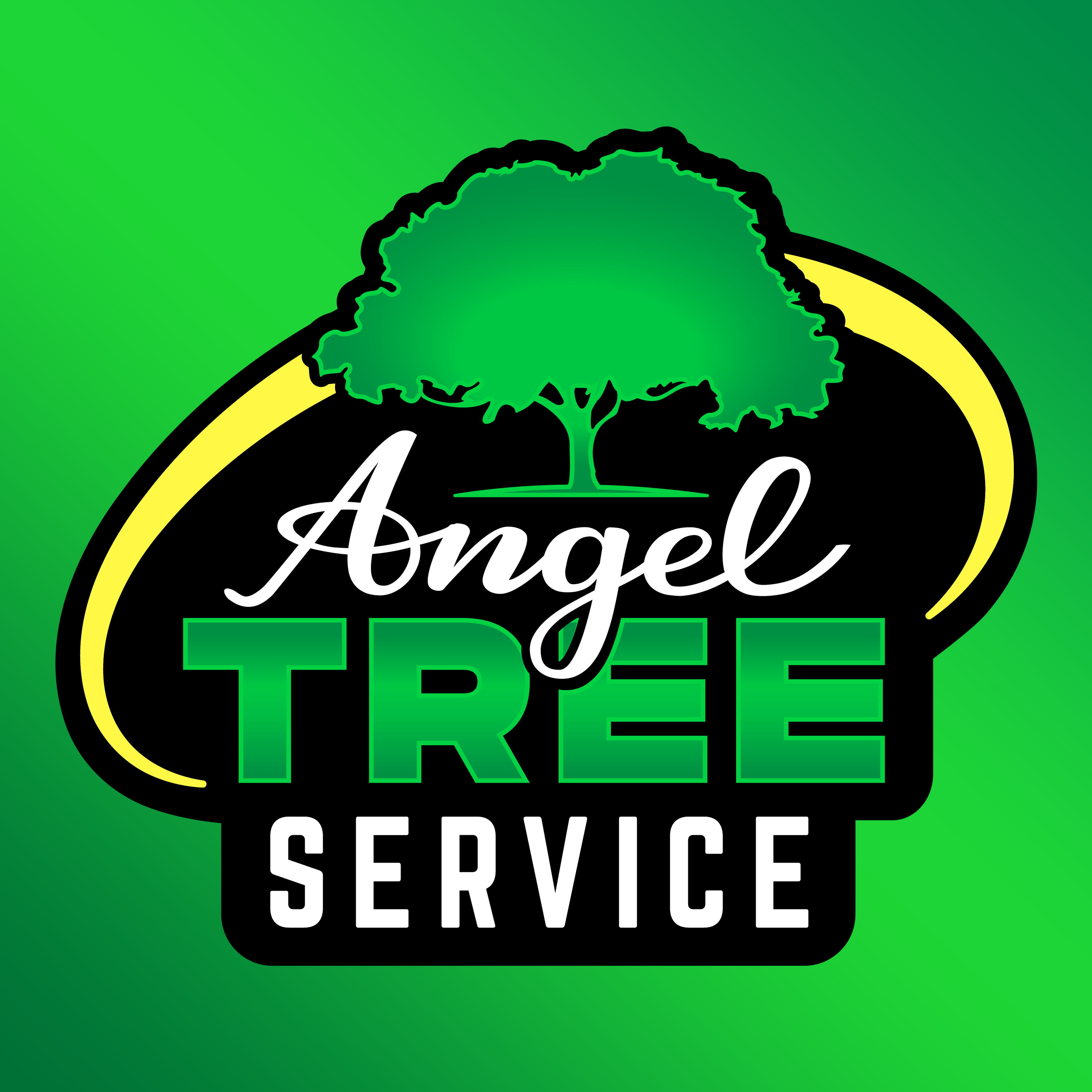 Avatar for Angel Tree Services LLC