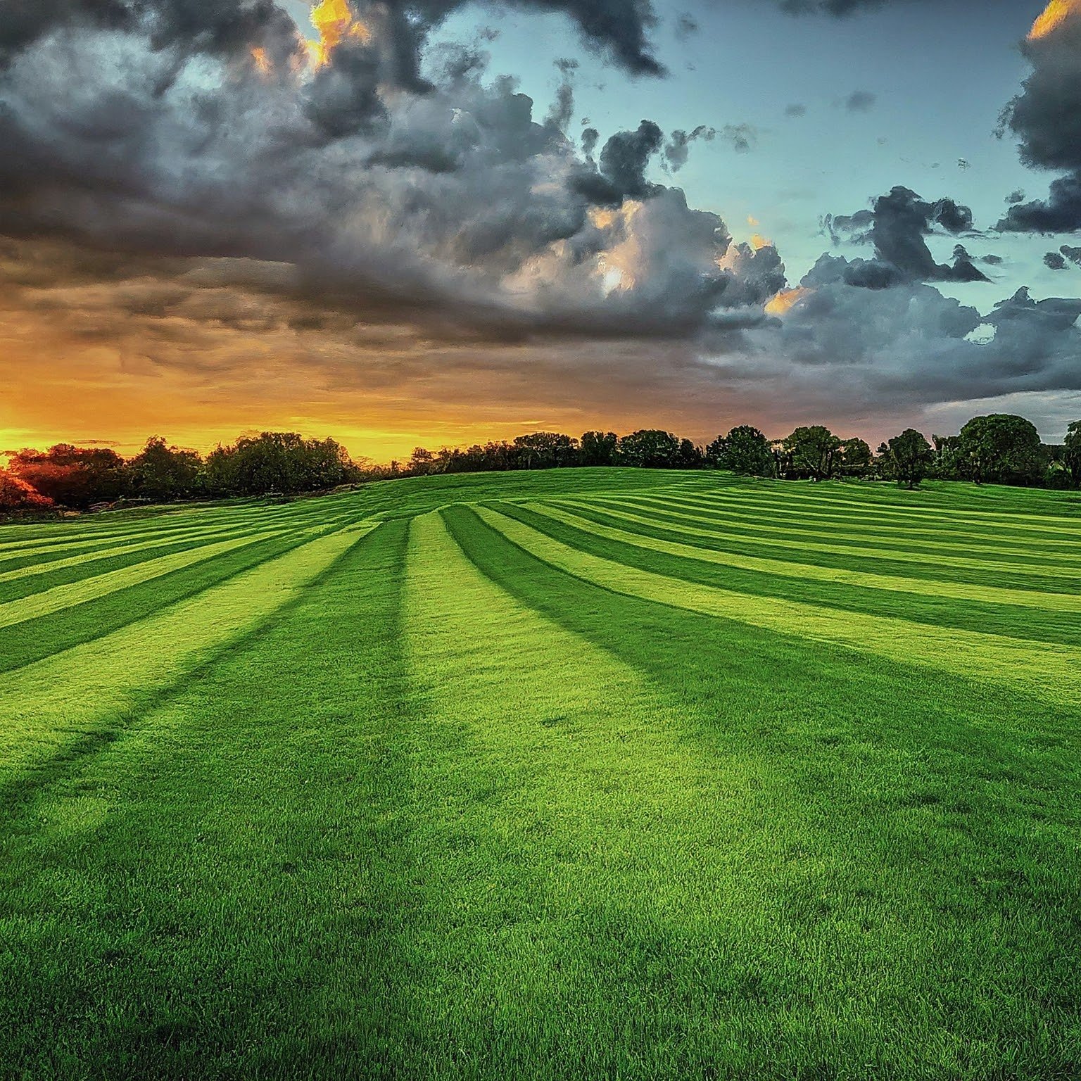 Avatar for Hardpoint Inc