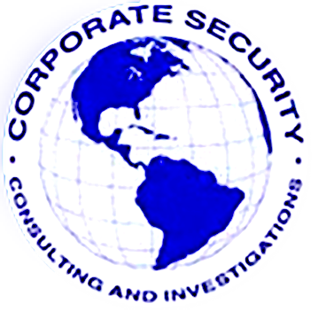 CSCI Security Group, Inc. logo