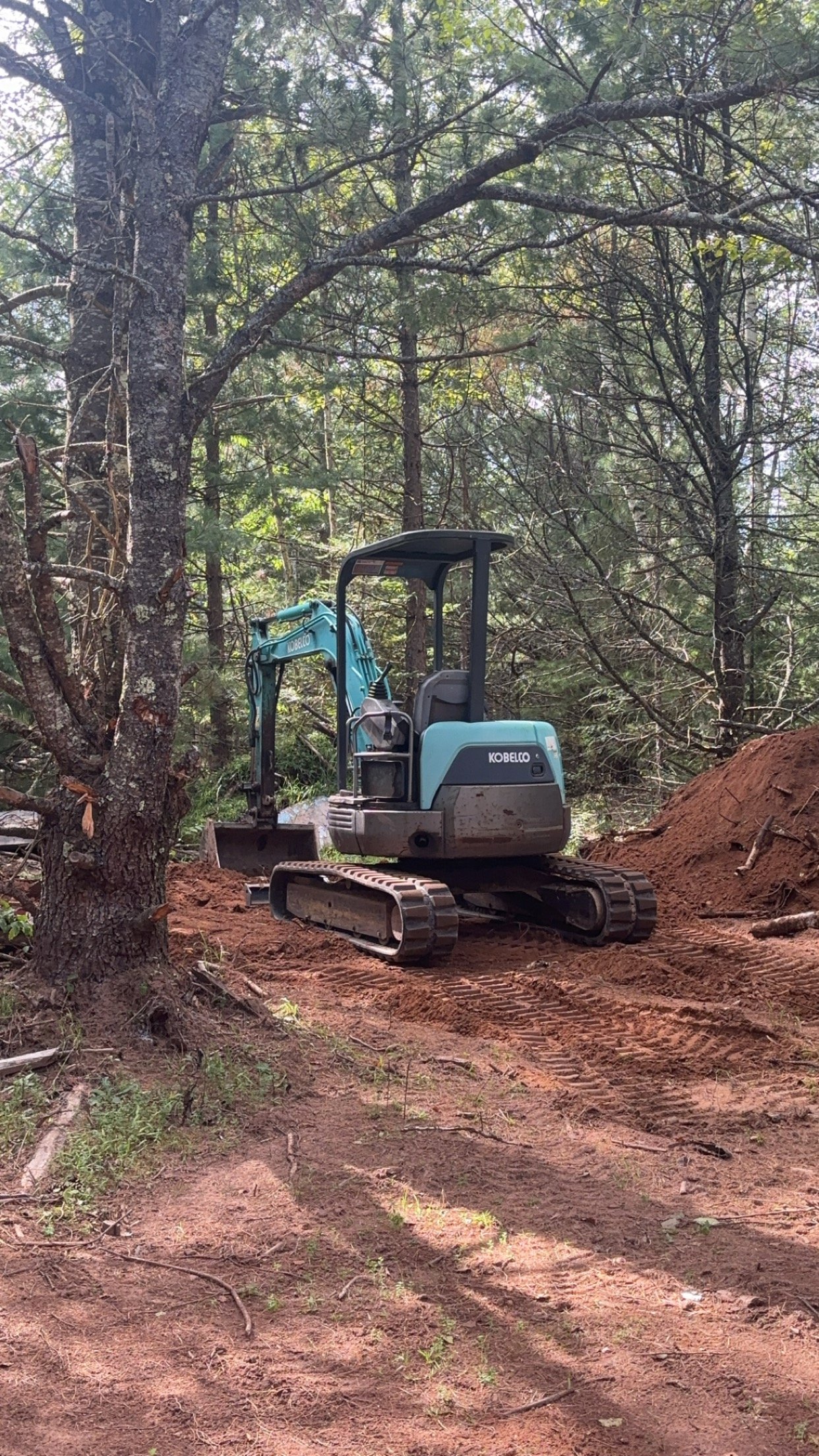 Avatar for Robby Semrau