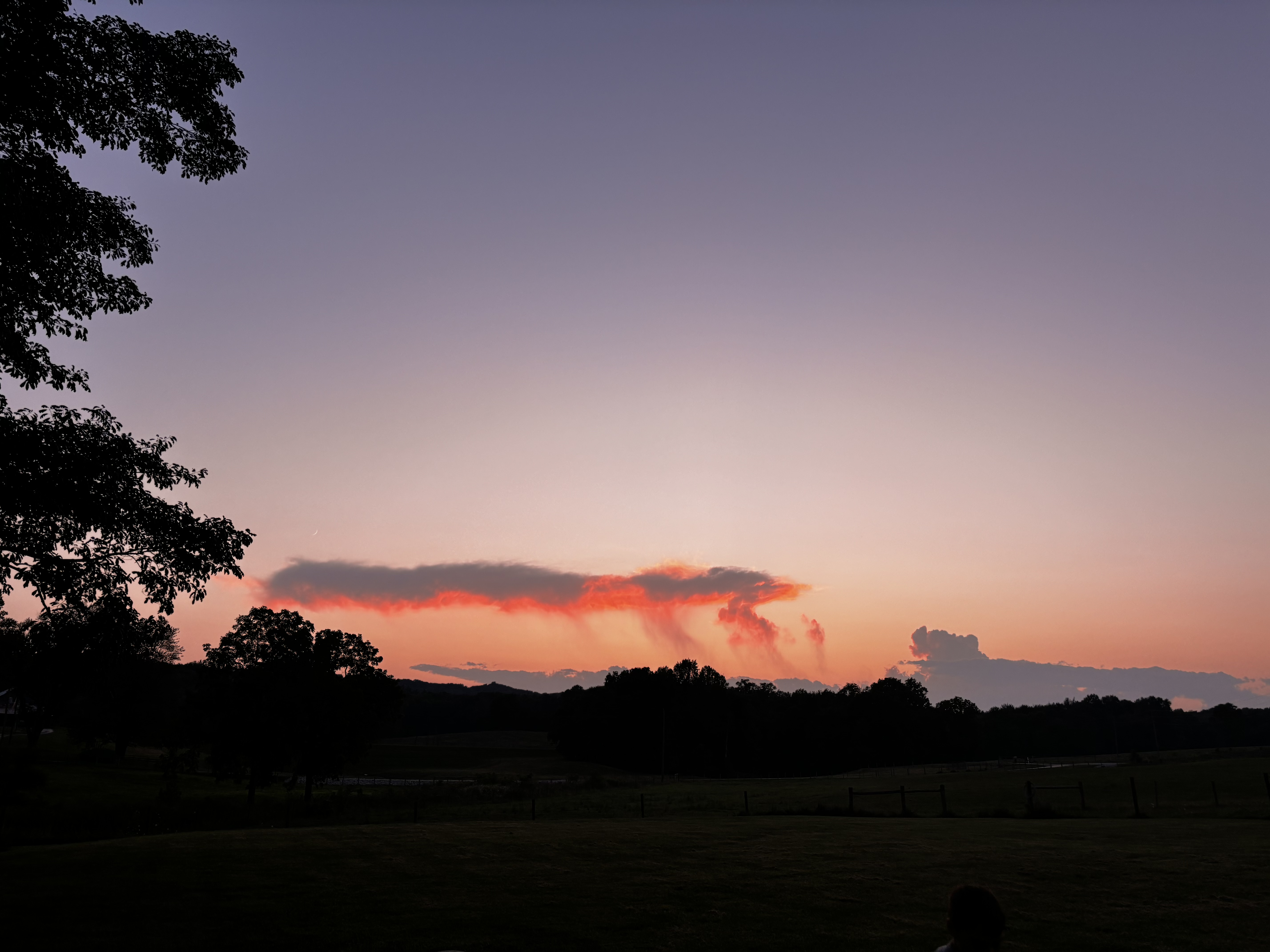 Avatar for Landscaping