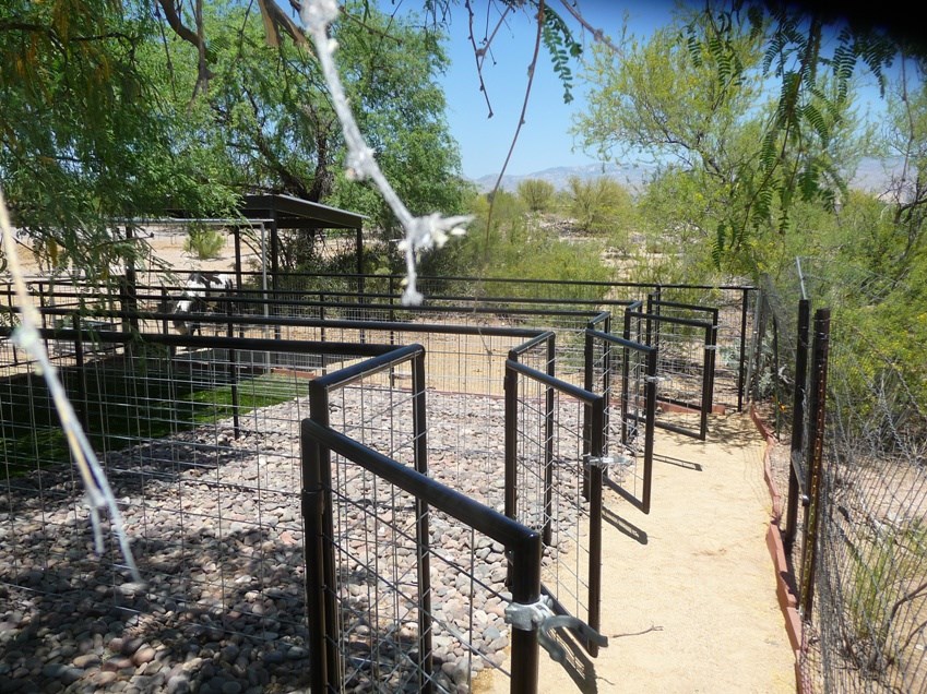 Outside Dog Run