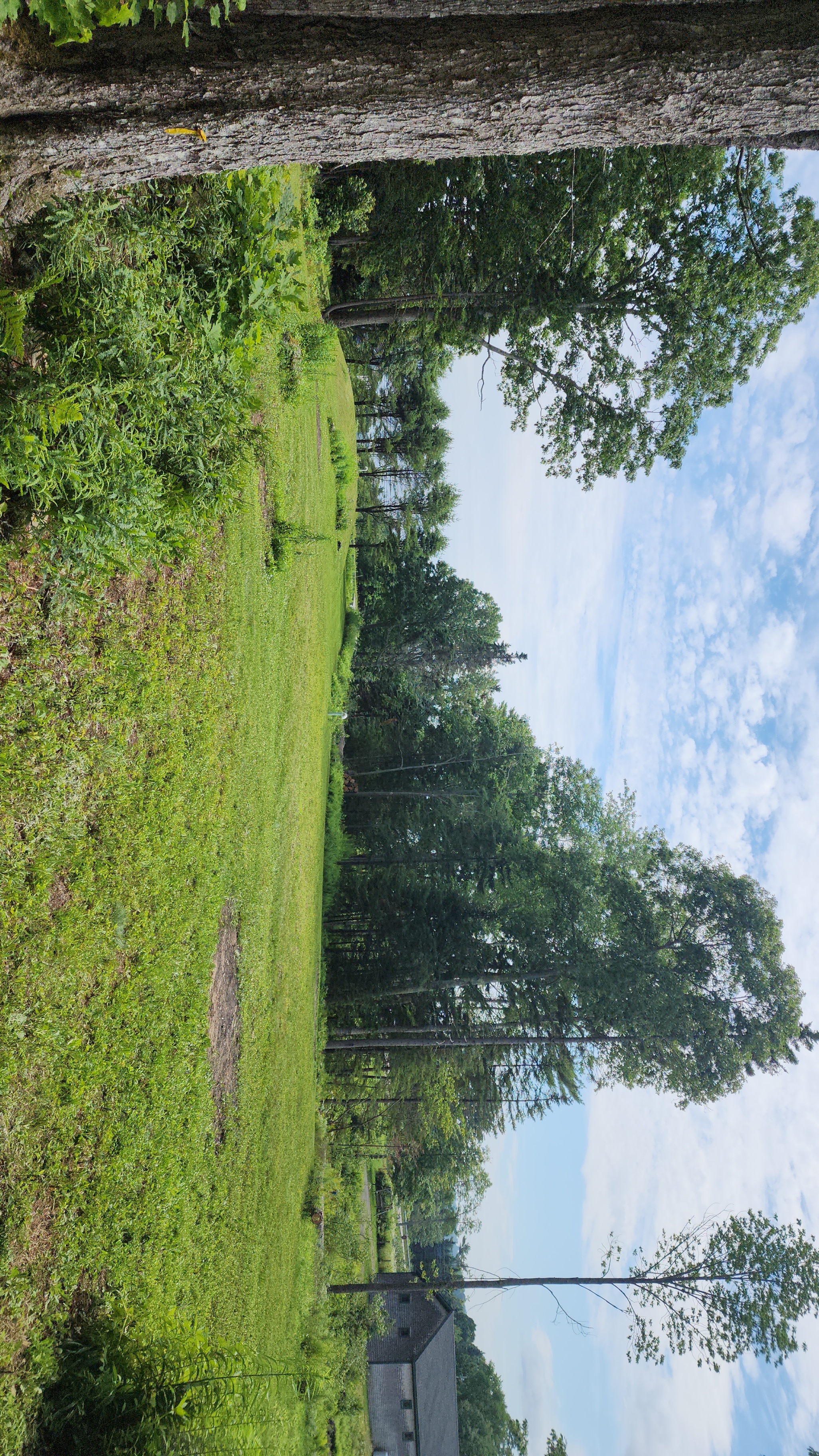 Avatar for keagen mcwilliams