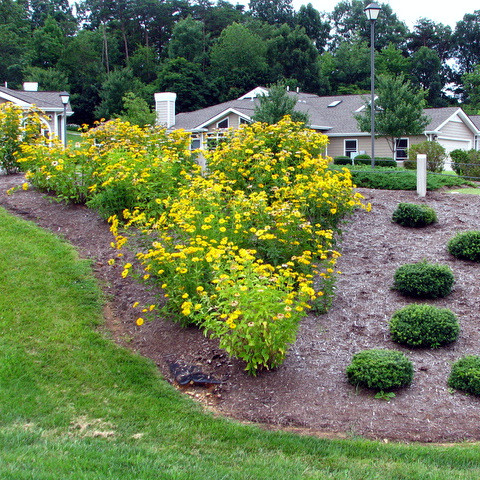 Flowers at subdivision entrance