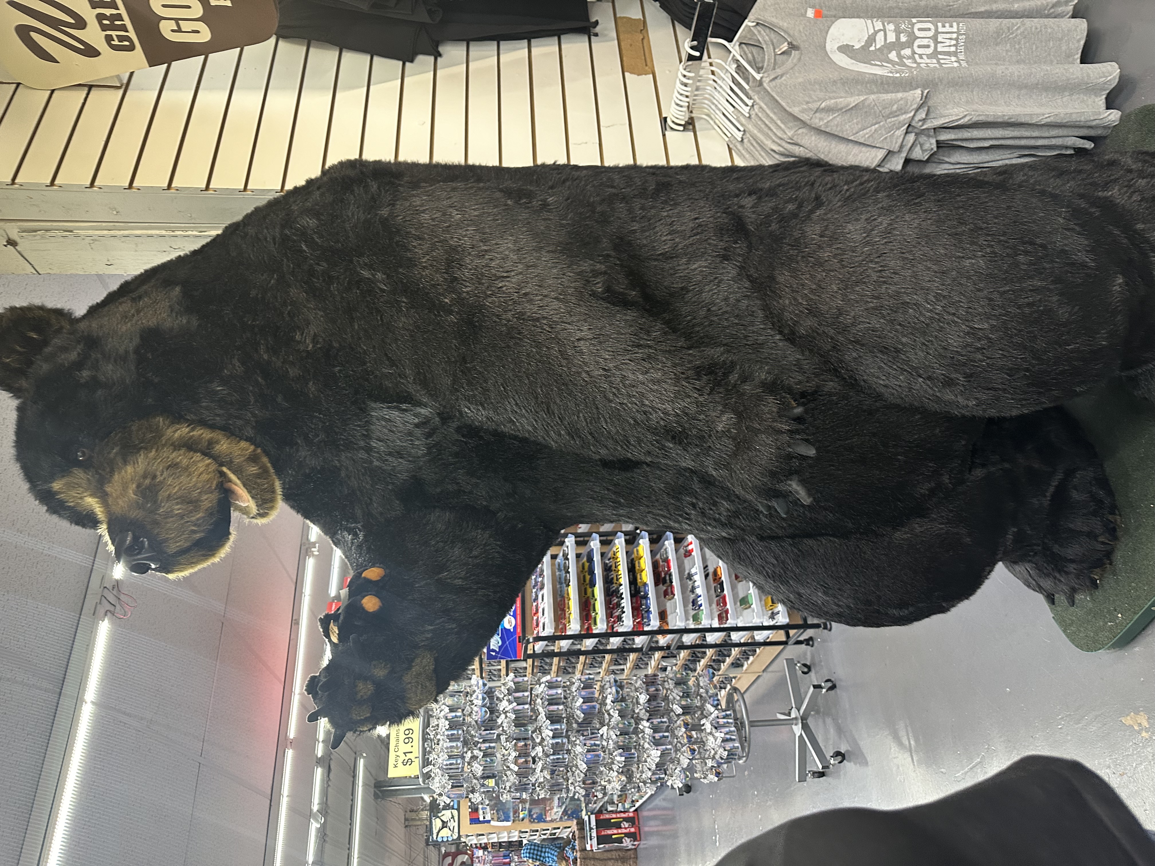 Avatar for shanna doan 