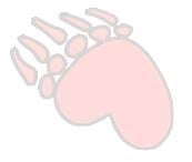 Avatar for Grizzly Services Inc