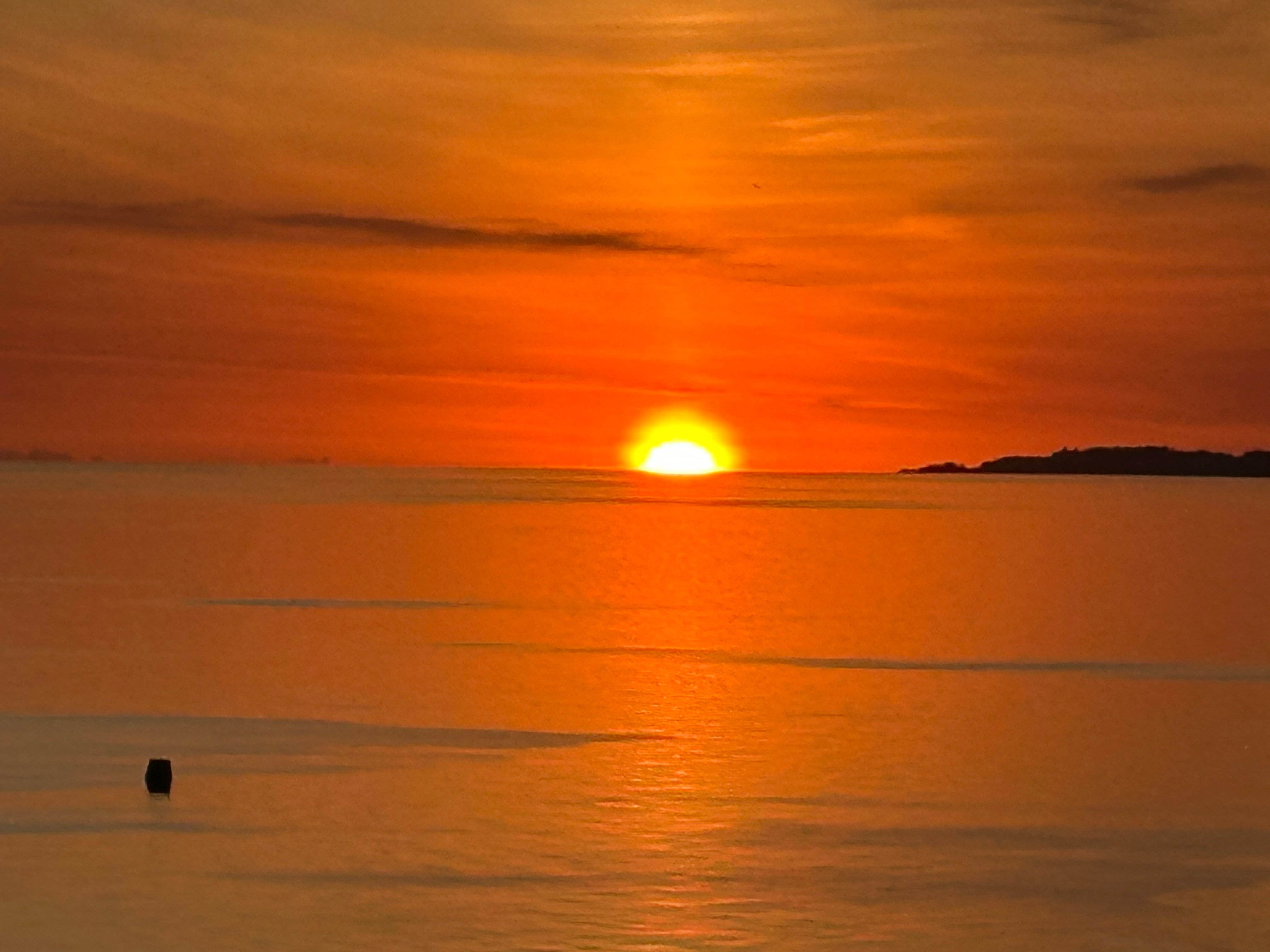 Avatar for The Sun Connection