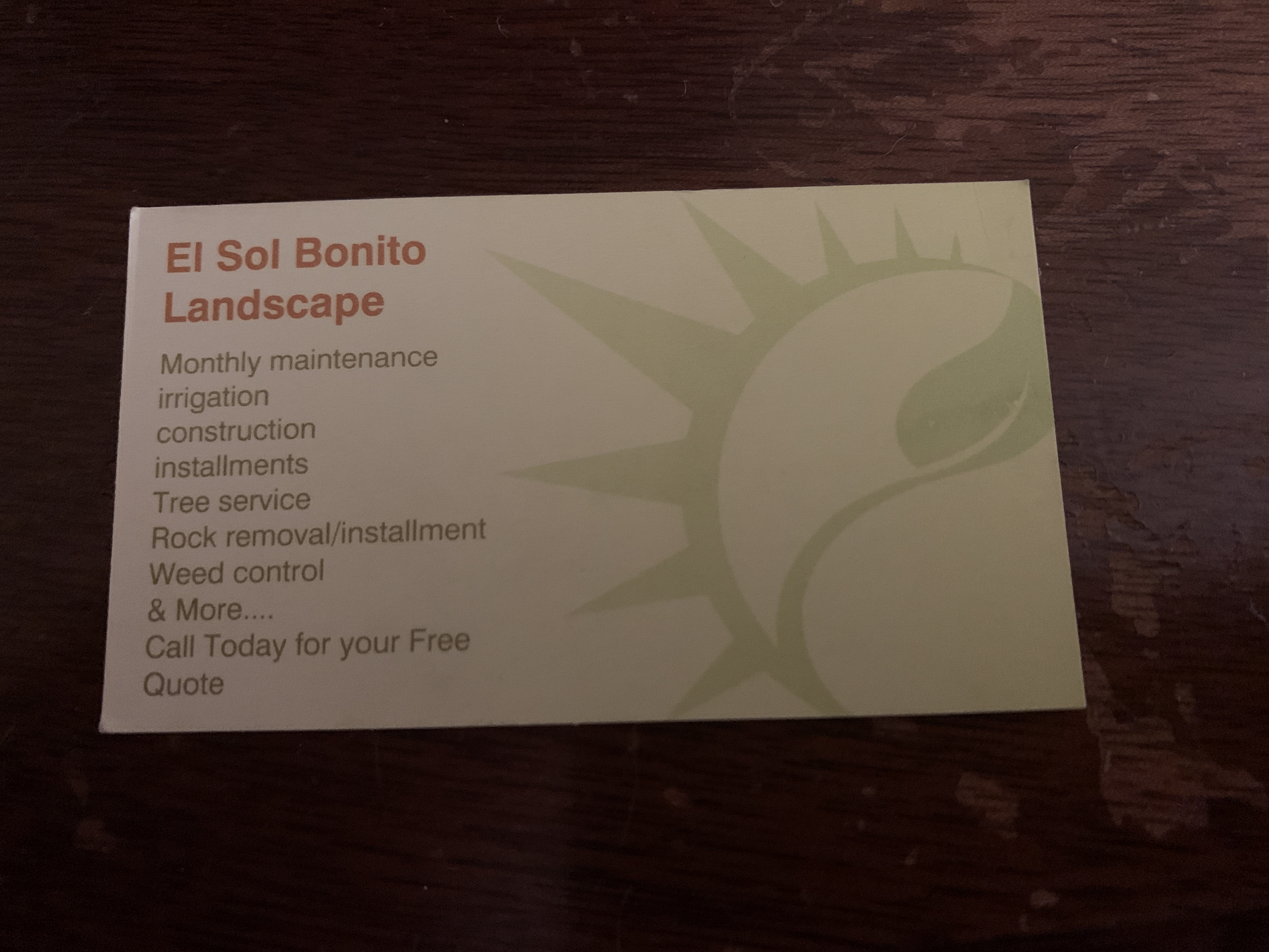 Avatar for El sol bonito landscape