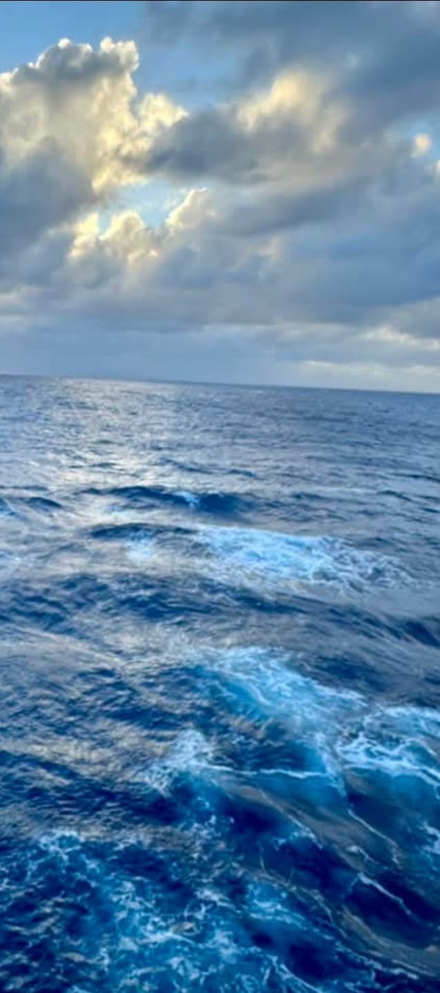 Avatar for Julie Le Jeune