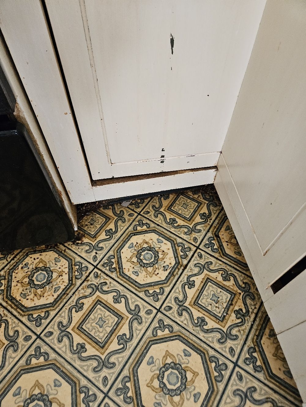 Cleaning by Meire Reviews EVERETT, MA Angi