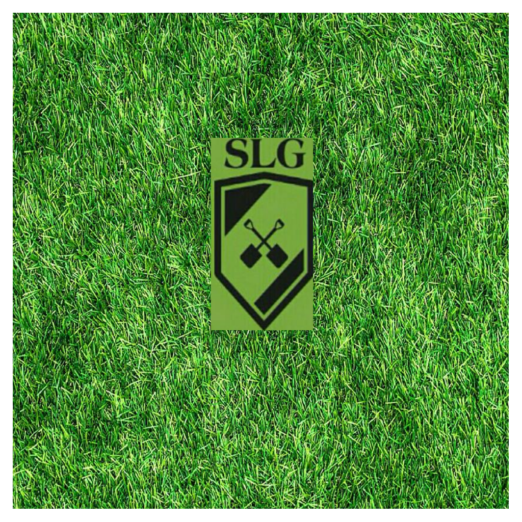 Avatar for Slg garden & masonry services