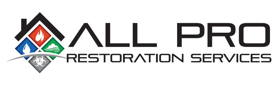 Logo for All Pro Restoration Services