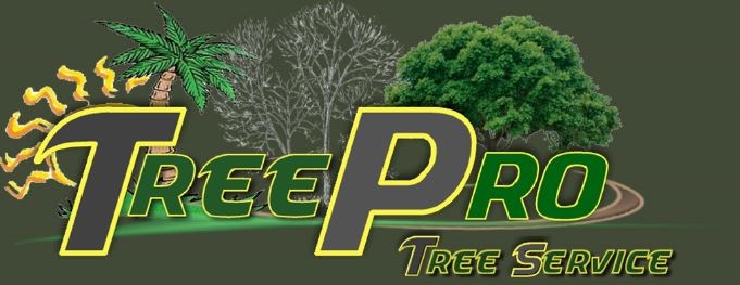 Logo for TreePro