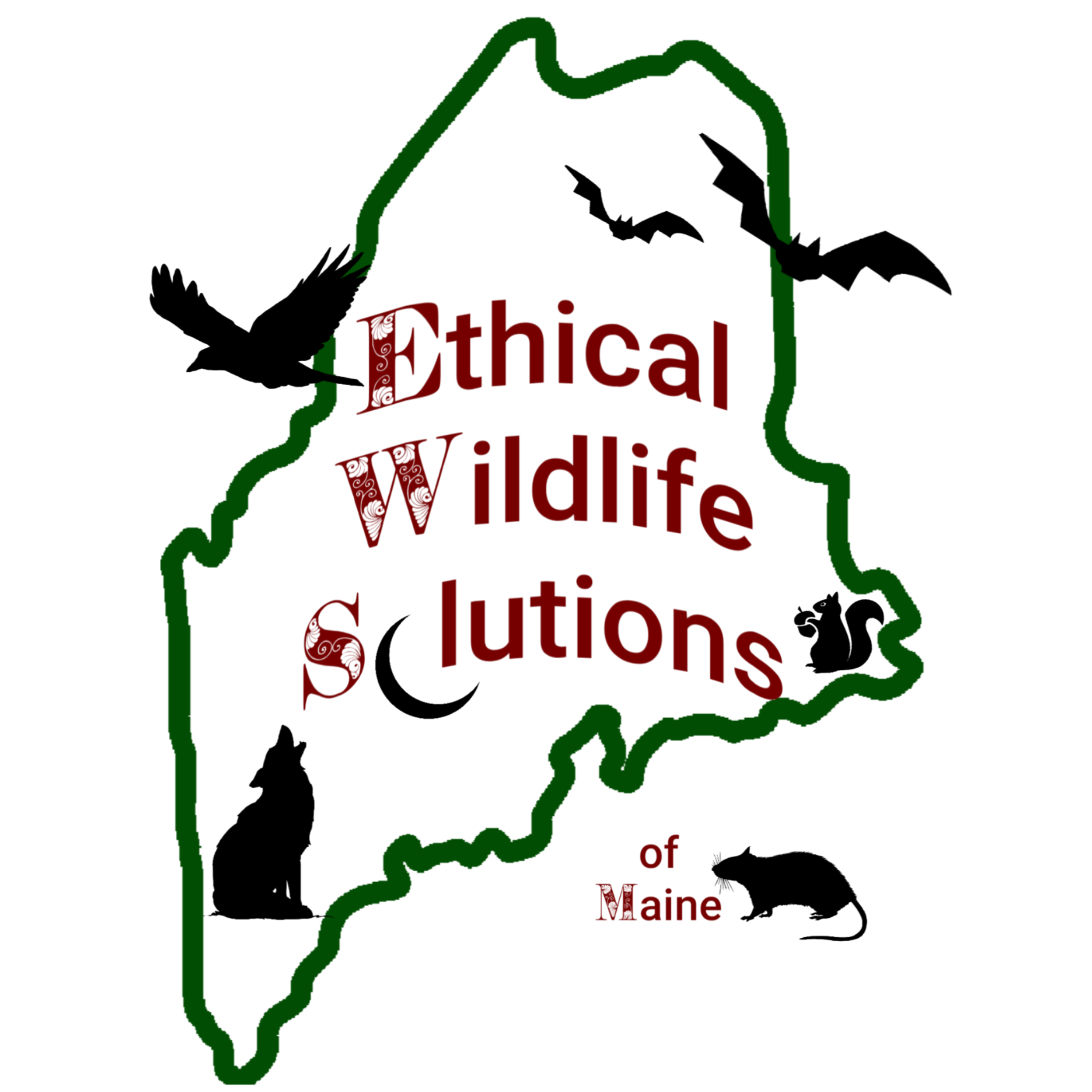 Avatar for Ethical Wildlife Solutions of Maine, LLP