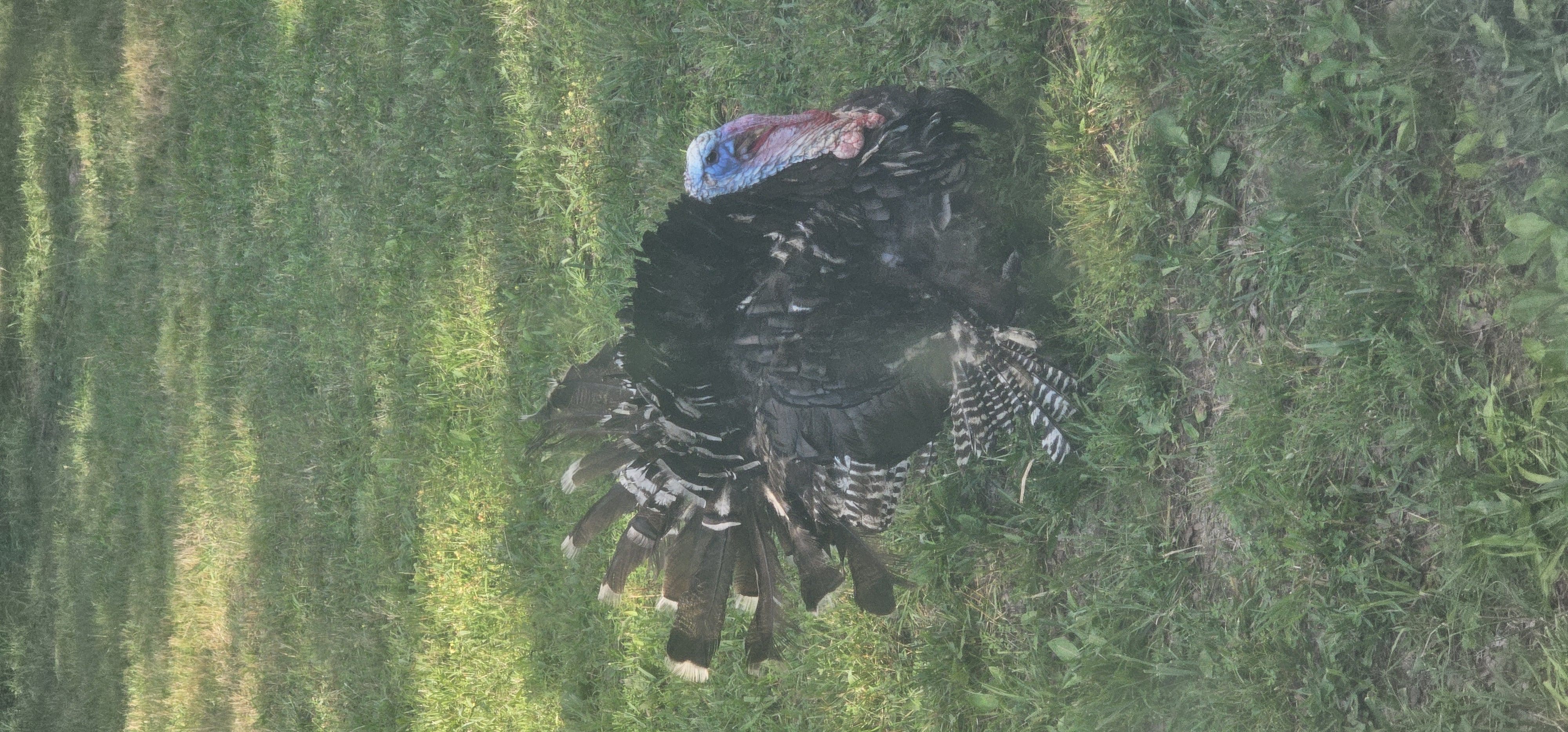 Avatar for Troy's boys