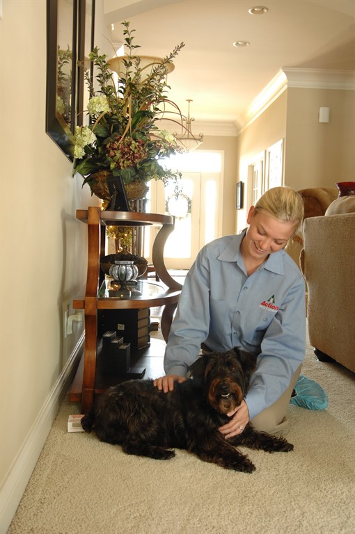 Action Pest Control Reviews Indianapolis, IN Angi