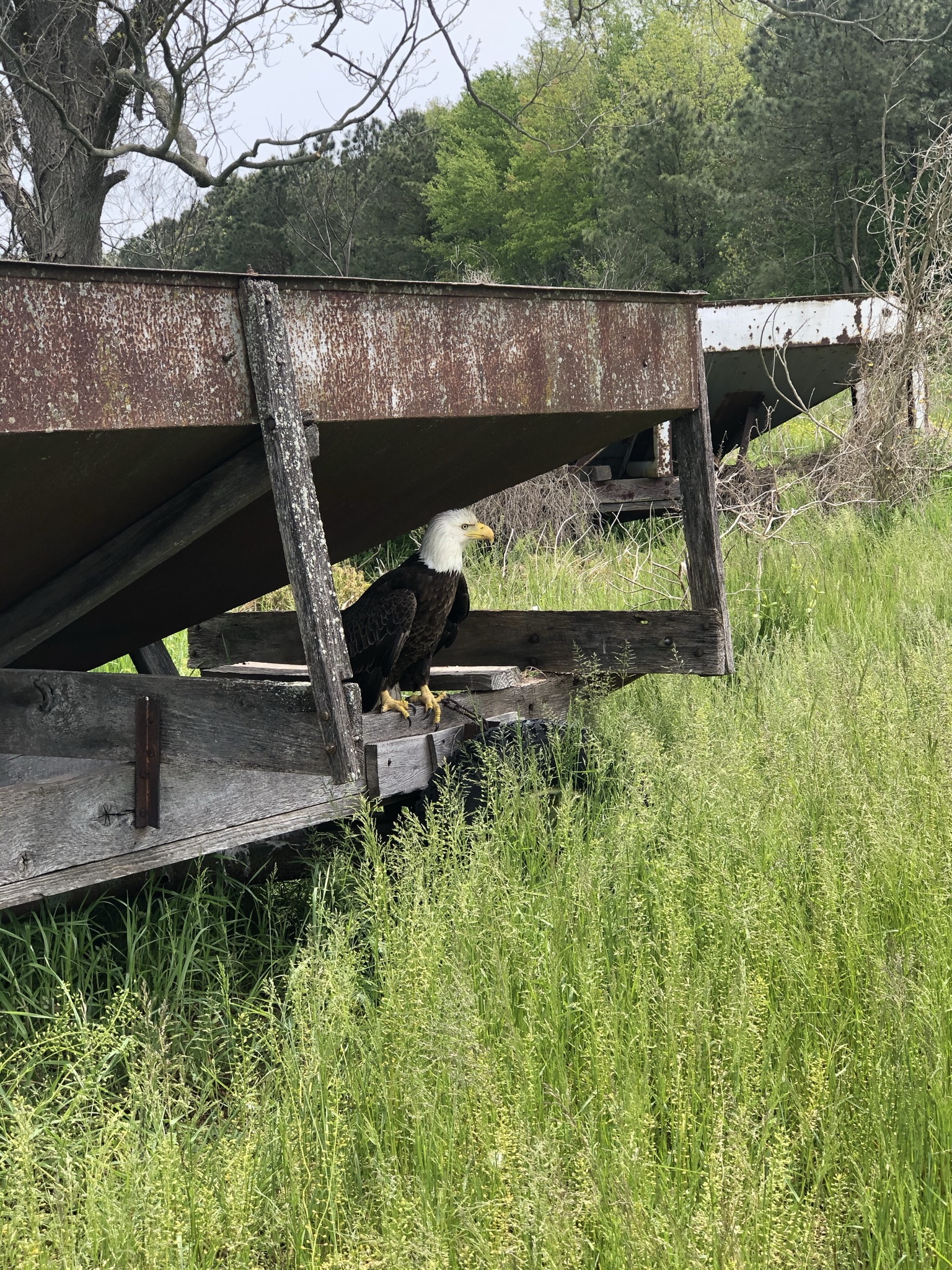 Avatar for Elite Excavation