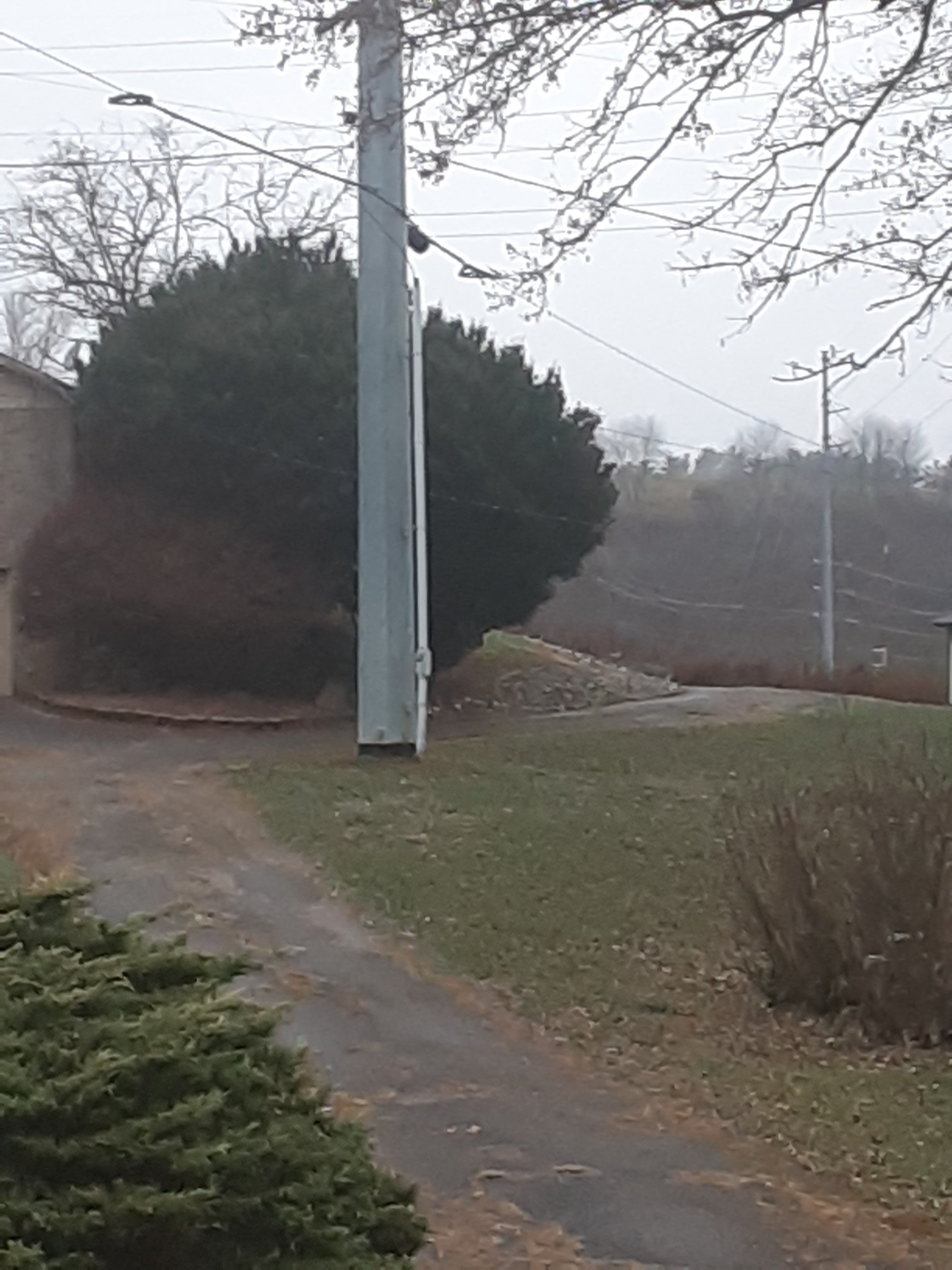 Avatar for Affordable handyman