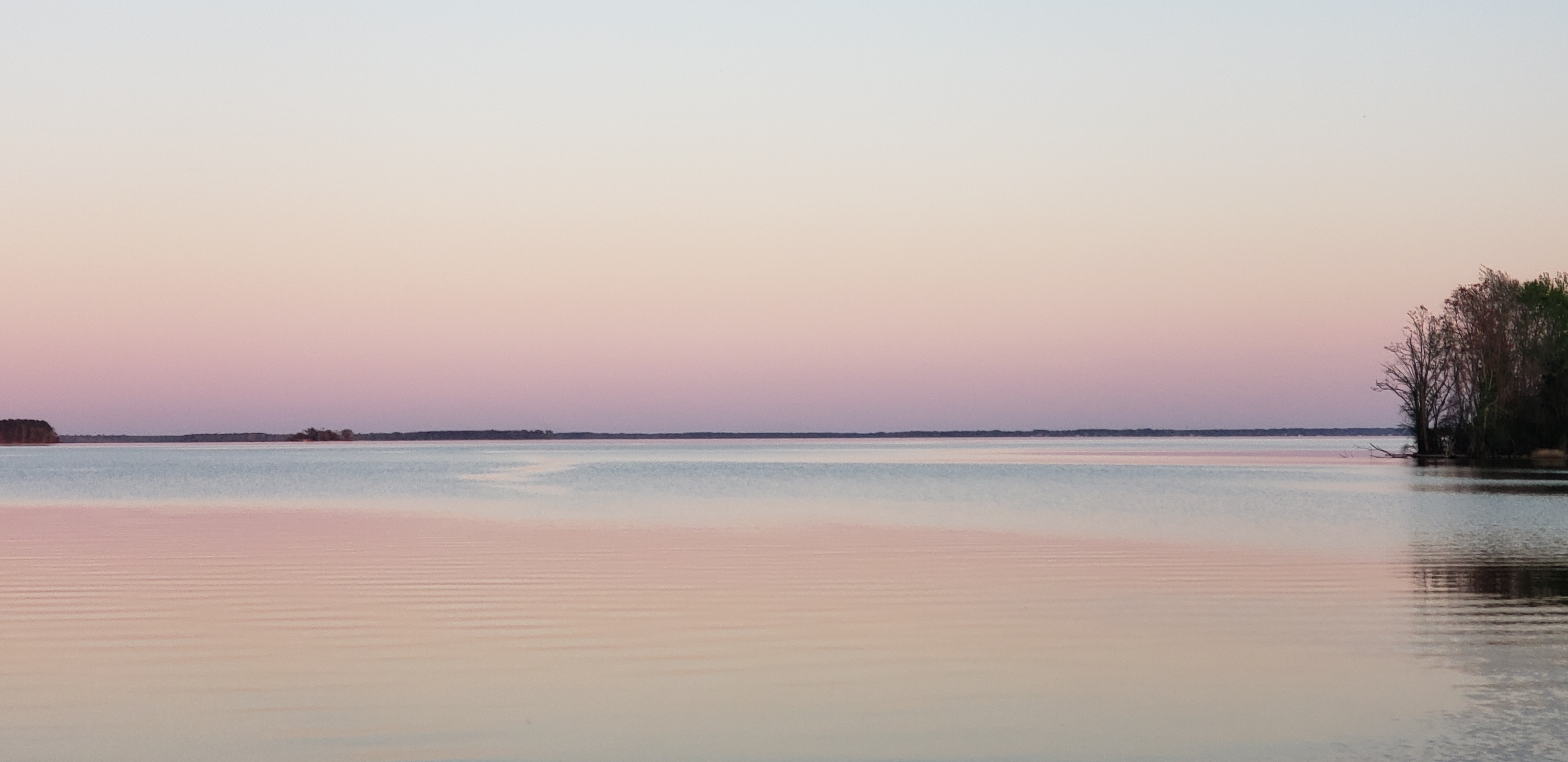 Avatar for Land Maintenance By Royal