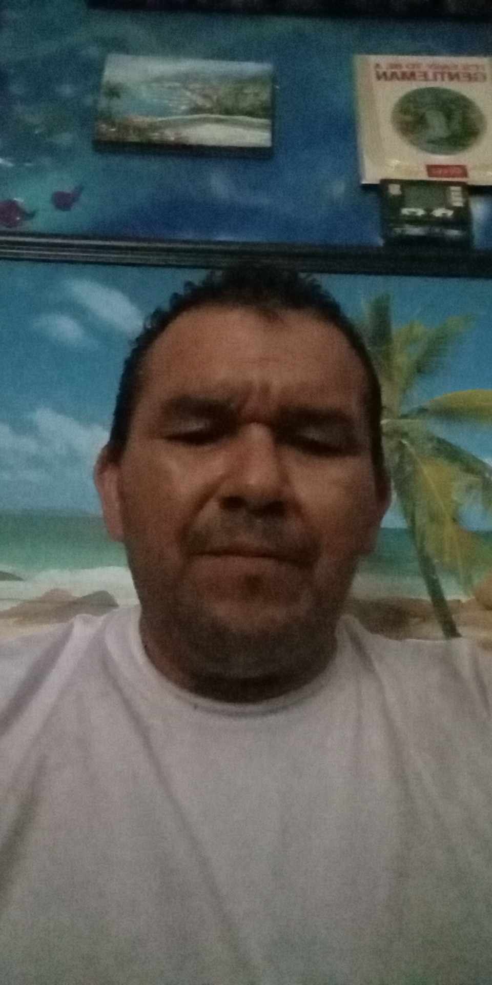 Avatar for Bet those woodworks and beyond