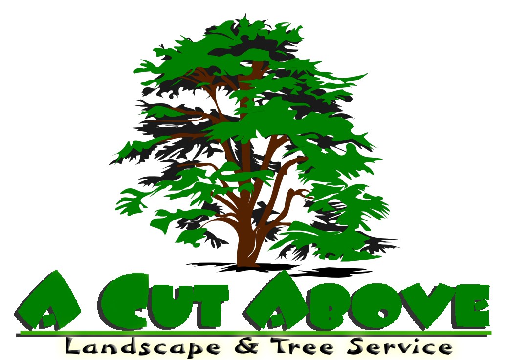 Avatar for A Cut Above Landscape & Tree Service