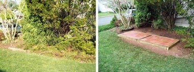 before and after