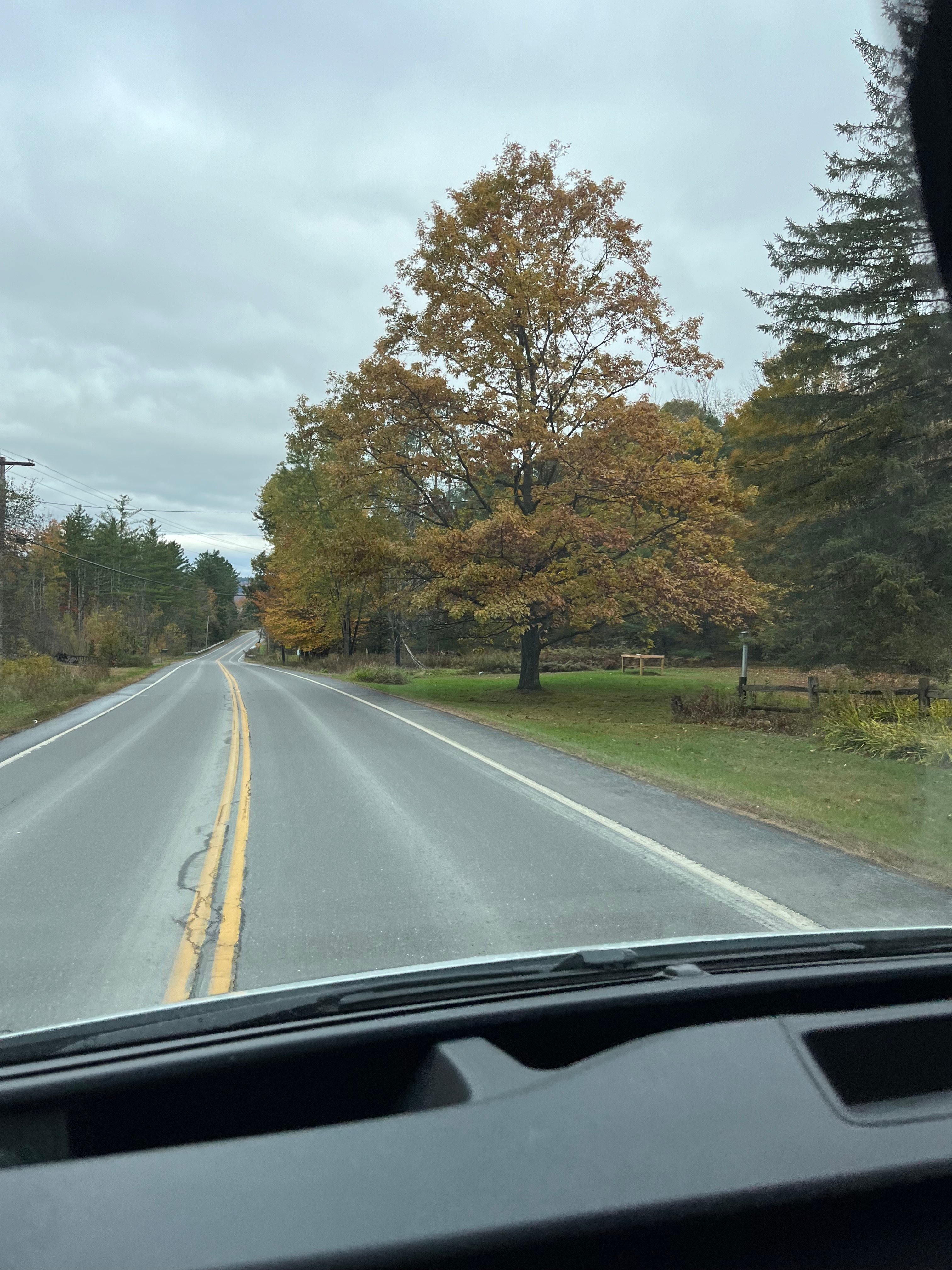 Avatar for North light transport llc 