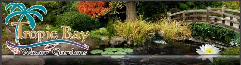 Avatar for Tropic Bay Water Gardens