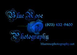 Blue Rose Photography logo