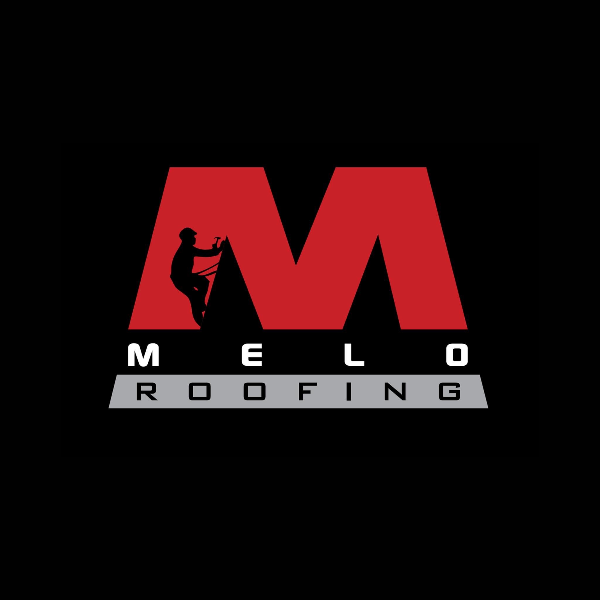 Avatar for Melo Roofing Inc